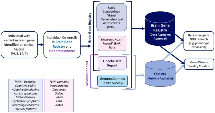 https://cdn.ncbi.nlm.nih.gov/pmc/blobs/09ac/12026819/e1d405a7e861/genes-16-00405-g002.jpg