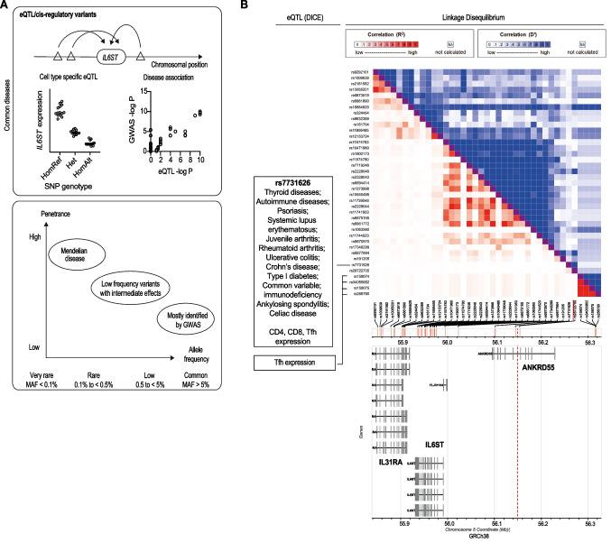 https://cdn.ncbi.nlm.nih.gov/pmc/blobs/09b1/10746620/5fc4ce37bab6/10875_2023_1603_Fig3_HTML.jpg