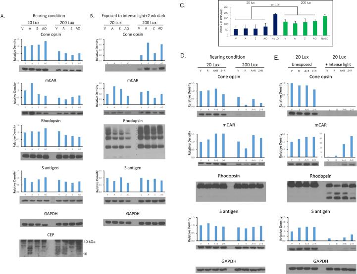 https://cdn.ncbi.nlm.nih.gov/pmc/blobs/09b4/5640517/e554d1c57397/mv-v23-718-f3.jpg