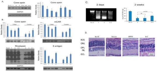 https://cdn.ncbi.nlm.nih.gov/pmc/blobs/09b4/5640517/eb674391399c/mv-v23-718-f4.jpg