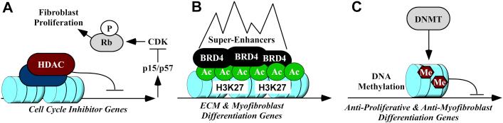 https://cdn.ncbi.nlm.nih.gov/pmc/blobs/09b4/6234501/e852b58ae41c/gr2.jpg