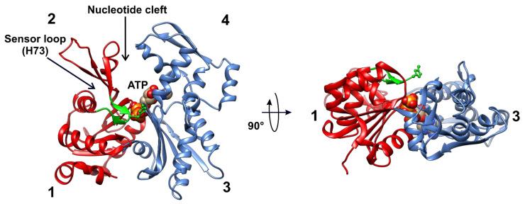 https://cdn.ncbi.nlm.nih.gov/pmc/blobs/09b6/8537074/224458d4baf4/life-11-01040-g005.jpg