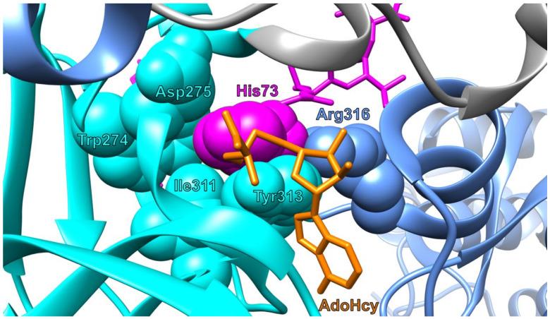 https://cdn.ncbi.nlm.nih.gov/pmc/blobs/09b6/8537074/685fe23205a7/life-11-01040-g003.jpg