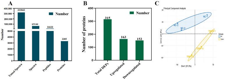 https://cdn.ncbi.nlm.nih.gov/pmc/blobs/09b8/11507450/cebfb3400d5e/ijms-25-10907-g004.jpg