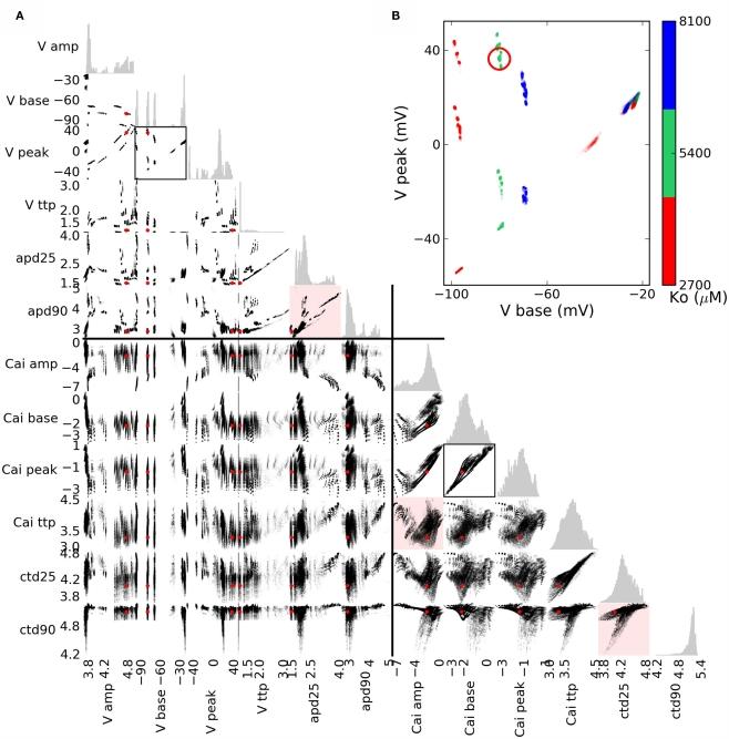 https://cdn.ncbi.nlm.nih.gov/pmc/blobs/09b8/3246639/cf70e284020e/fphys-02-00106-g006.jpg