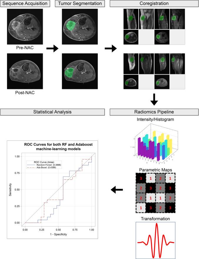 https://cdn.ncbi.nlm.nih.gov/pmc/blobs/09b9/10333397/ca83b913aaac/11307_2023_1803_Fig1_HTML.jpg