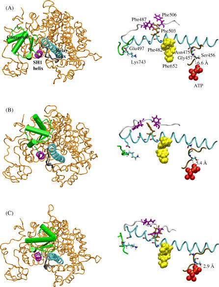 https://cdn.ncbi.nlm.nih.gov/pmc/blobs/09b9/1808016/99a19add95c2/pcbi.0030023.g003.jpg