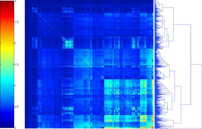 https://cdn.ncbi.nlm.nih.gov/pmc/blobs/09b9/1808016/a93eaa49972d/pcbi.0030023.g010.jpg