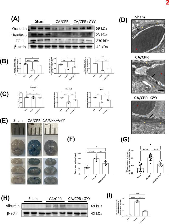 https://cdn.ncbi.nlm.nih.gov/pmc/blobs/09ba/11704213/7f5594db8a51/41598_2024_84948_Fig2_HTML.jpg