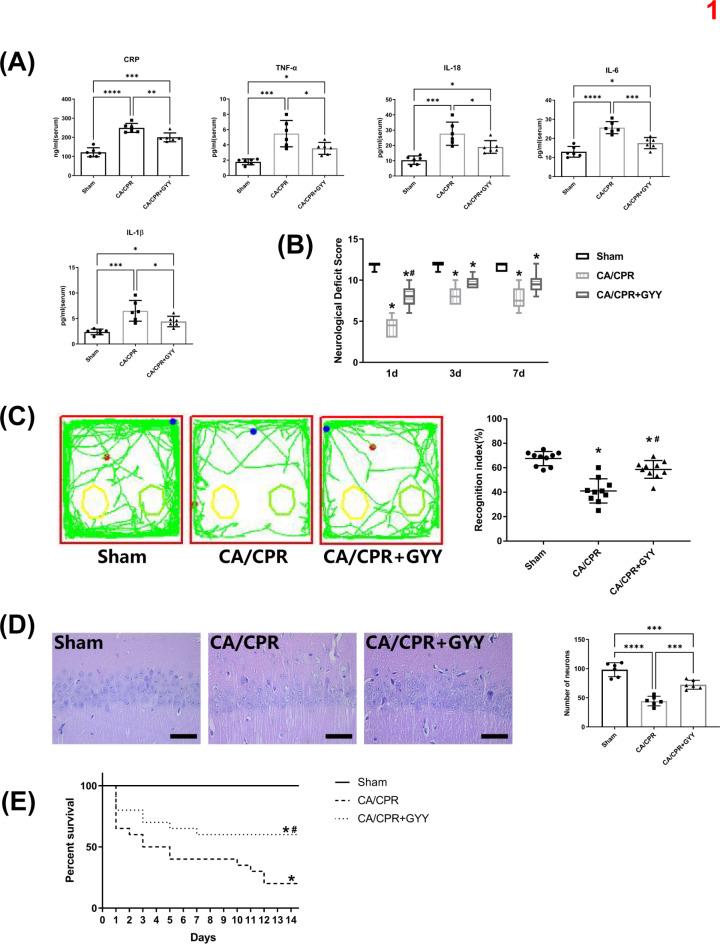 https://cdn.ncbi.nlm.nih.gov/pmc/blobs/09ba/11704213/807aa71fff5e/41598_2024_84948_Fig1_HTML.jpg