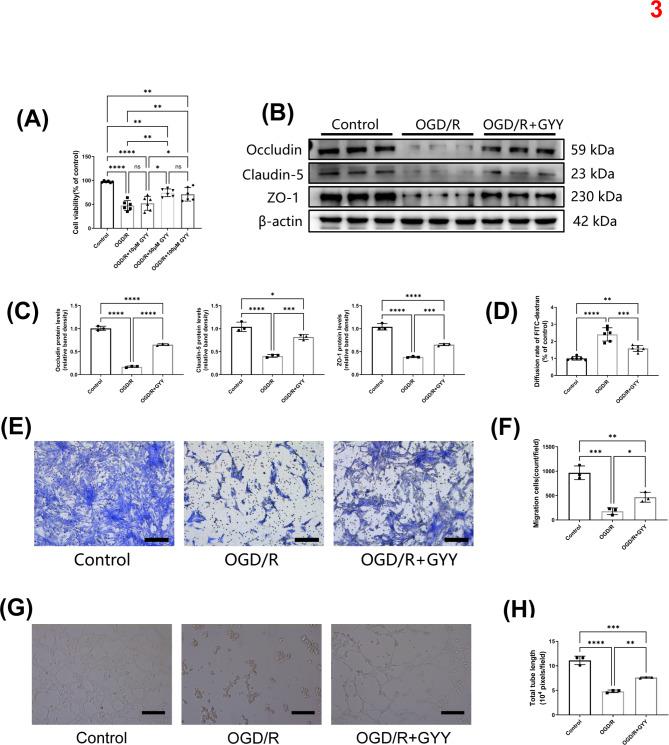 https://cdn.ncbi.nlm.nih.gov/pmc/blobs/09ba/11704213/e45fd309bc0b/41598_2024_84948_Fig3_HTML.jpg