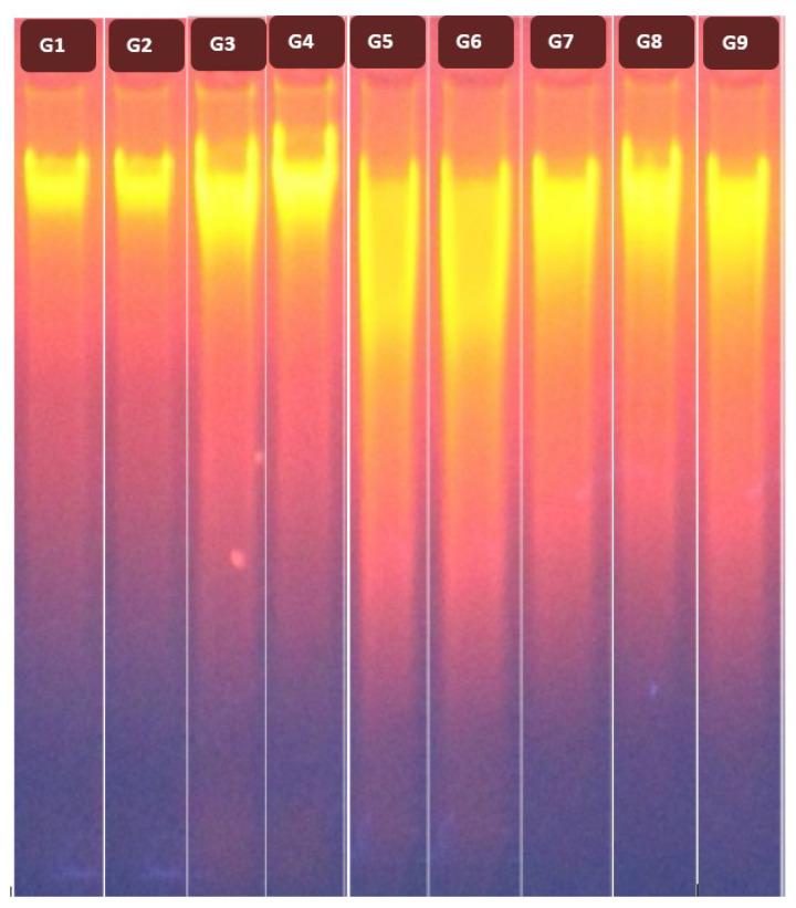 https://cdn.ncbi.nlm.nih.gov/pmc/blobs/09ba/8540501/e9a1904656e8/ijms-22-11219-g004.jpg