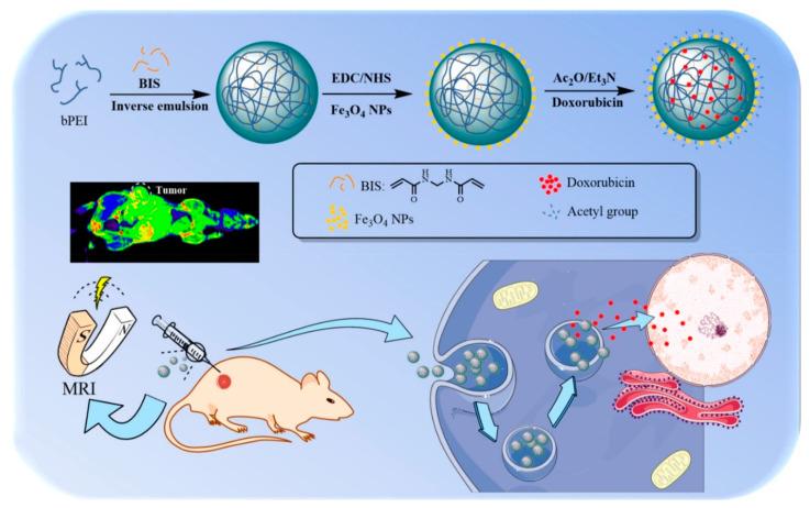 https://cdn.ncbi.nlm.nih.gov/pmc/blobs/09bd/7362228/ad46ab1aa87f/polymers-12-01397-g007.jpg