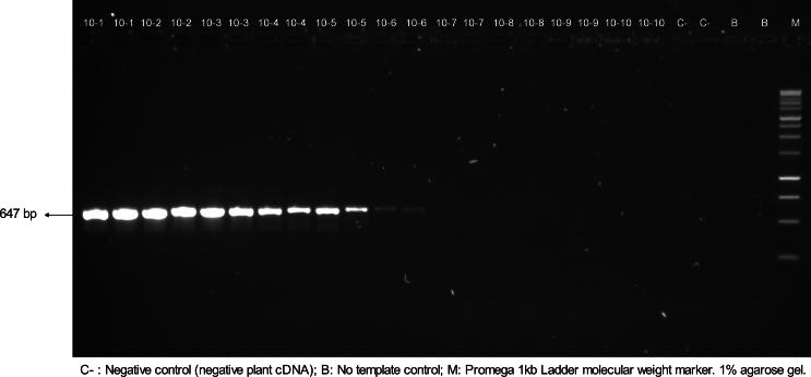 https://cdn.ncbi.nlm.nih.gov/pmc/blobs/09c2/10966584/9aa93990858e/mmcfigs3.jpg