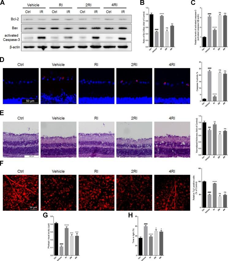 https://cdn.ncbi.nlm.nih.gov/pmc/blobs/09c3/5844734/fbeb8dfa35a3/oncotarget-09-12137-g009.jpg