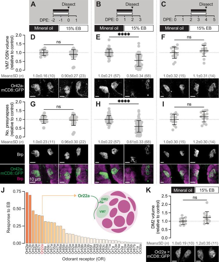 https://cdn.ncbi.nlm.nih.gov/pmc/blobs/09c5/11781797/1064129941fc/elife-100989-fig2.jpg