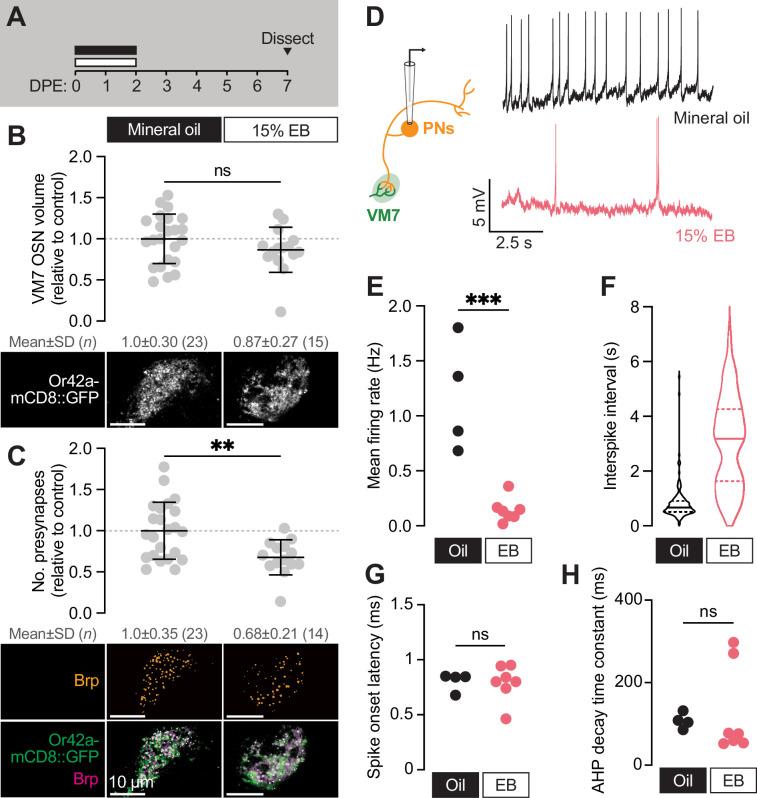 https://cdn.ncbi.nlm.nih.gov/pmc/blobs/09c5/11781797/3b72fa38cd86/elife-100989-fig3.jpg