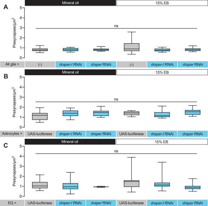 https://cdn.ncbi.nlm.nih.gov/pmc/blobs/09c5/11781797/56b5c83d2c3b/elife-100989-fig5-figsupp1.jpg
