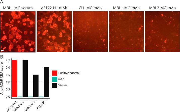 https://cdn.ncbi.nlm.nih.gov/pmc/blobs/09c6/9909583/32bdd6a1d7c7/NXI-2022-200094f3.jpg