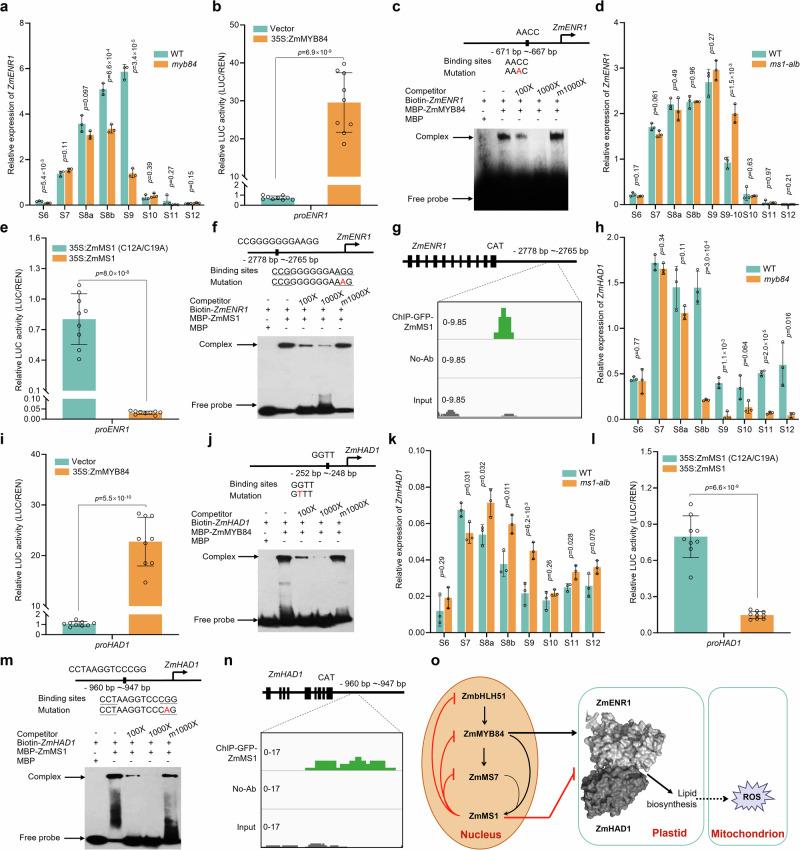 https://cdn.ncbi.nlm.nih.gov/pmc/blobs/09c7/11686123/1b84517b2892/41467_2024_55208_Fig5_HTML.jpg