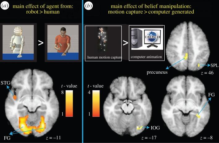 https://cdn.ncbi.nlm.nih.gov/pmc/blobs/09c8/4685521/b32fe6b4bc84/rstb20150075-g4.jpg