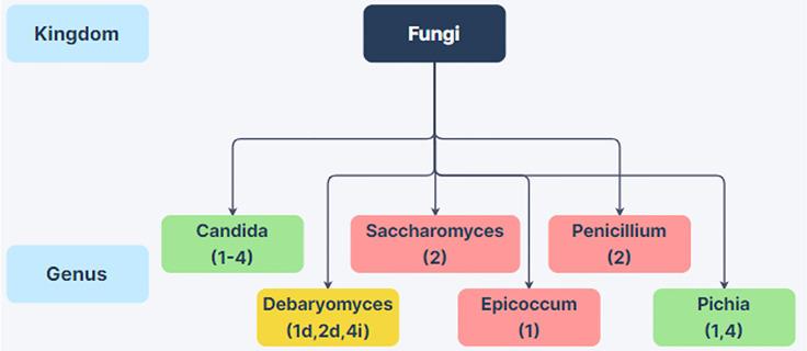 https://cdn.ncbi.nlm.nih.gov/pmc/blobs/09c8/8928144/8c14eeb713cf/fcimb-12-840164-g002.jpg