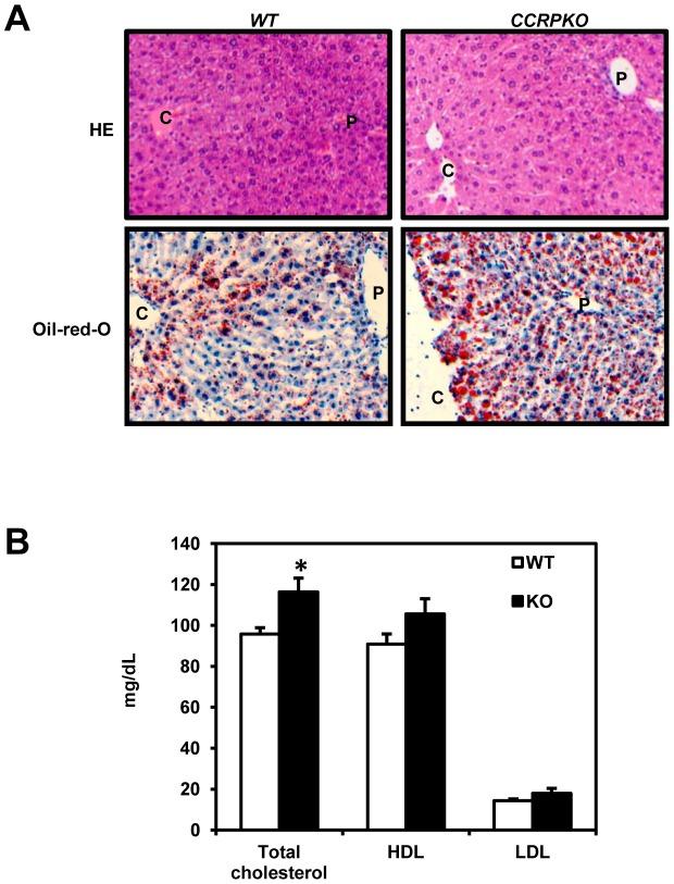 https://cdn.ncbi.nlm.nih.gov/pmc/blobs/09ca/4277317/00eb48d8947b/pone.0115663.g005.jpg