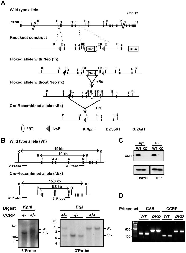 https://cdn.ncbi.nlm.nih.gov/pmc/blobs/09ca/4277317/9936a9eb368a/pone.0115663.g001.jpg