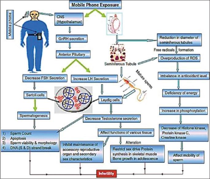 https://cdn.ncbi.nlm.nih.gov/pmc/blobs/09ca/7727890/0da743e00691/JHRS-13-174-g003.jpg