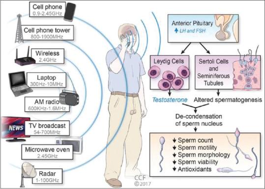 https://cdn.ncbi.nlm.nih.gov/pmc/blobs/09ca/7727890/cae7b0672e6b/JHRS-13-174-g002.jpg