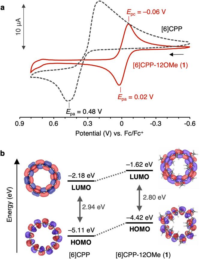 https://cdn.ncbi.nlm.nih.gov/pmc/blobs/09cc/10703805/e014eb60e448/41467_2023_43907_Fig3_HTML.jpg