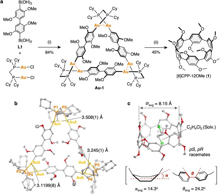 https://cdn.ncbi.nlm.nih.gov/pmc/blobs/09cc/10703805/ecaa5d9e6954/41467_2023_43907_Fig2_HTML.jpg