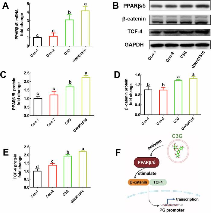 https://cdn.ncbi.nlm.nih.gov/pmc/blobs/09cc/12092765/1f9a82c27ce6/41538_2025_445_Fig4_HTML.jpg