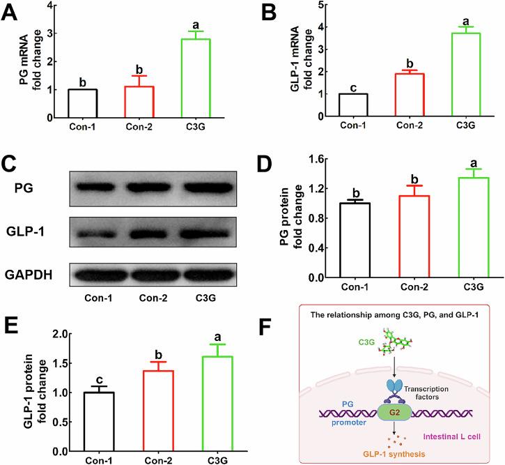https://cdn.ncbi.nlm.nih.gov/pmc/blobs/09cc/12092765/93ea2ac6b62d/41538_2025_445_Fig3_HTML.jpg