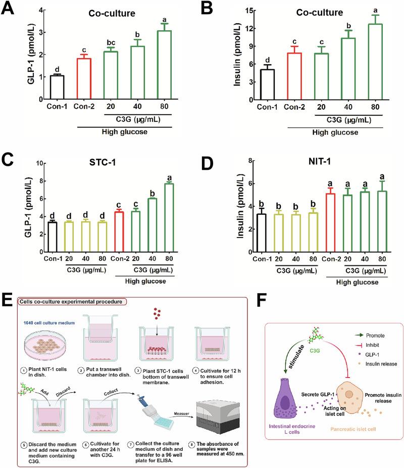 https://cdn.ncbi.nlm.nih.gov/pmc/blobs/09cc/12092765/dcdd0f40c64f/41538_2025_445_Fig2_HTML.jpg