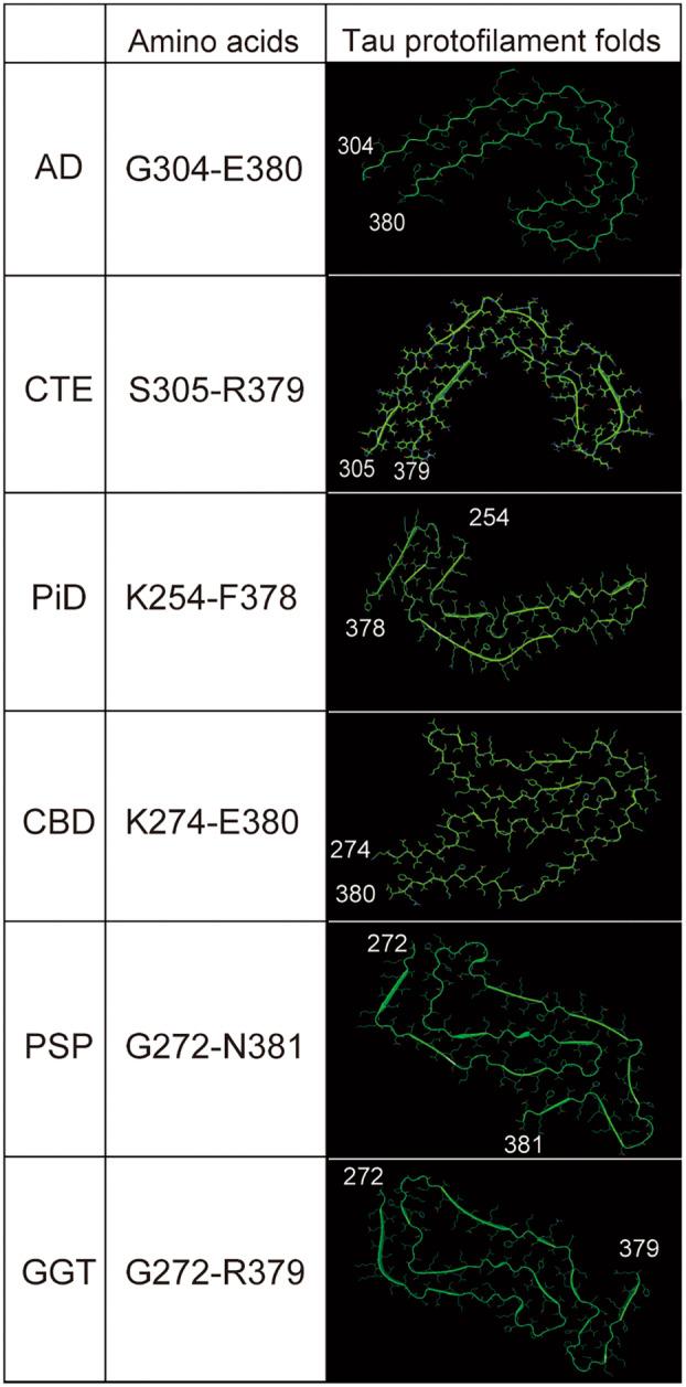 https://cdn.ncbi.nlm.nih.gov/pmc/blobs/09cd/10839341/4a791396c937/FEB4-14-181-g003.jpg