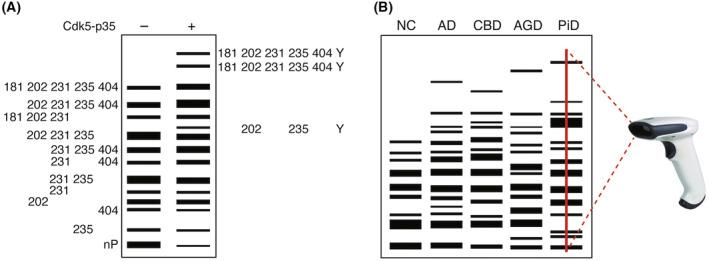 https://cdn.ncbi.nlm.nih.gov/pmc/blobs/09cd/10839341/e75d5377d1fc/FEB4-14-181-g004.jpg