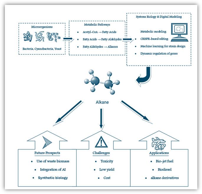 https://cdn.ncbi.nlm.nih.gov/pmc/blobs/09ce/12405031/24d2ddb64dc0/11274_2025_4536_Fig1_HTML.jpg