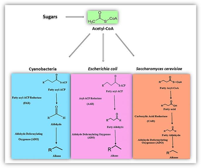 https://cdn.ncbi.nlm.nih.gov/pmc/blobs/09ce/12405031/4ecd94107ad0/11274_2025_4536_Fig2_HTML.jpg