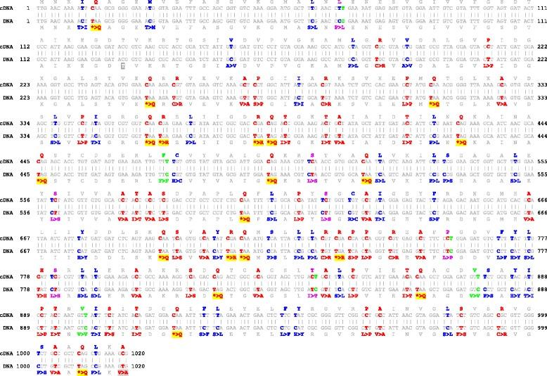 https://cdn.ncbi.nlm.nih.gov/pmc/blobs/09ce/4915041/771526e8dbe4/12862_2016_707_Fig2_HTML.jpg