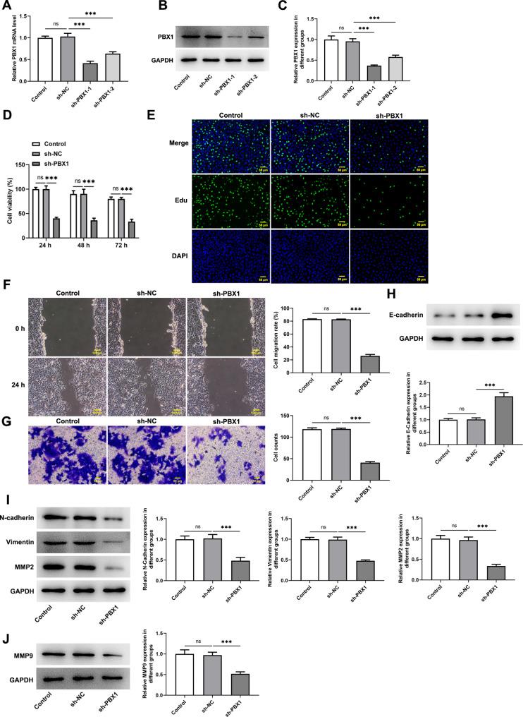 https://cdn.ncbi.nlm.nih.gov/pmc/blobs/09cf/11720925/b015409c1ce3/12863_2024_1292_Fig7_HTML.jpg