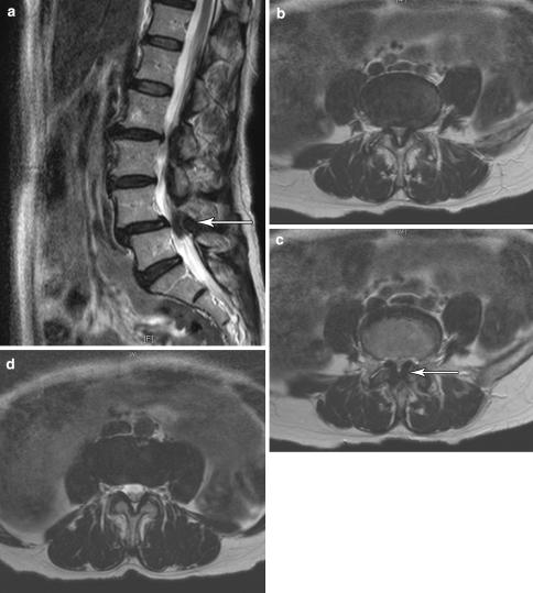 https://cdn.ncbi.nlm.nih.gov/pmc/blobs/09cf/2684150/e8c57667cd50/12178_2007_9003_Fig1_HTML.jpg