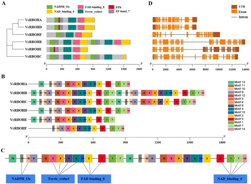 https://cdn.ncbi.nlm.nih.gov/pmc/blobs/09d0/11834512/4c0a232e362c/12864_2025_11303_Fig3_HTML.jpg