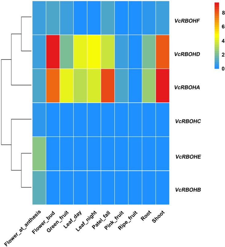 https://cdn.ncbi.nlm.nih.gov/pmc/blobs/09d0/11834512/c8171d6d85dd/12864_2025_11303_Fig5_HTML.jpg