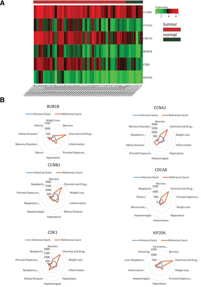 https://cdn.ncbi.nlm.nih.gov/pmc/blobs/09d1/11029925/27119472f4cb/medi-103-e37831-g008.jpg