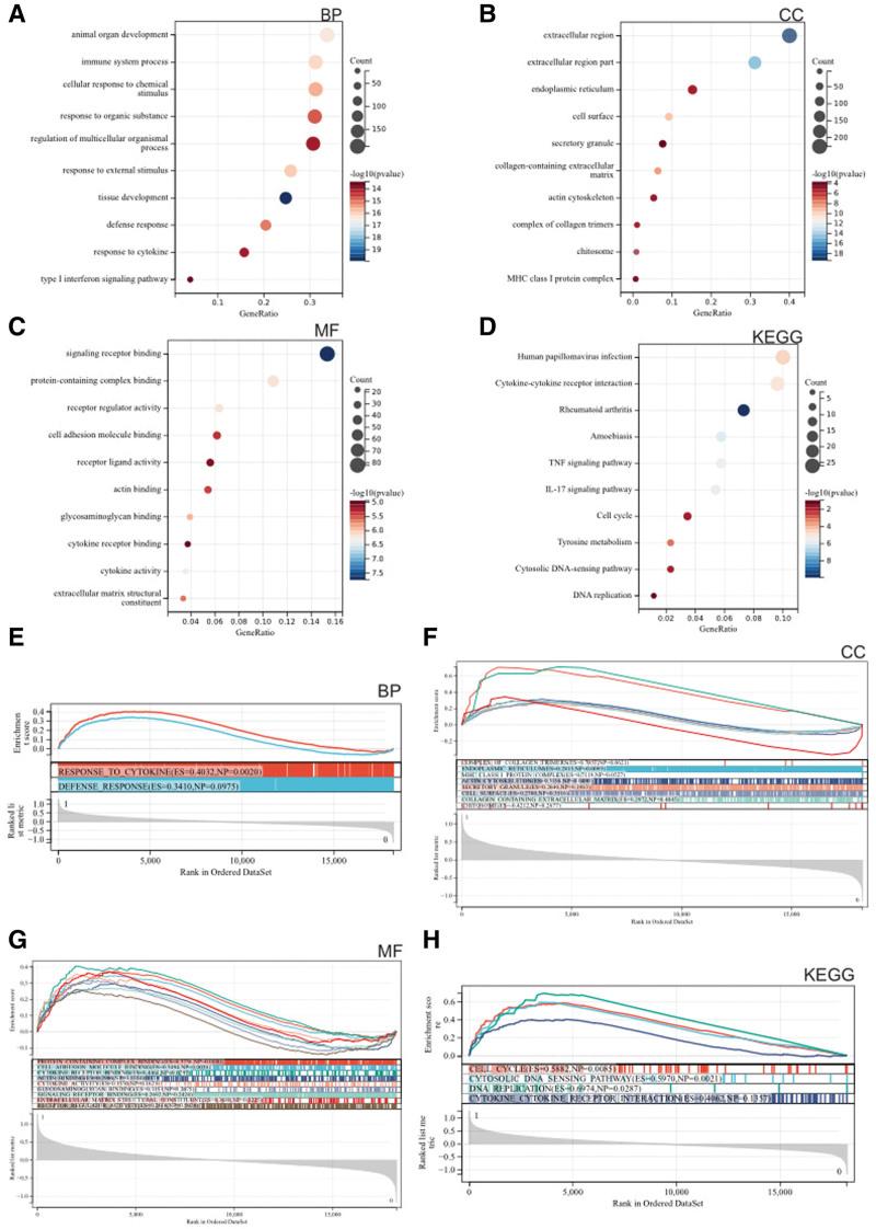https://cdn.ncbi.nlm.nih.gov/pmc/blobs/09d1/11029925/560c2c4ecc3e/medi-103-e37831-g002.jpg