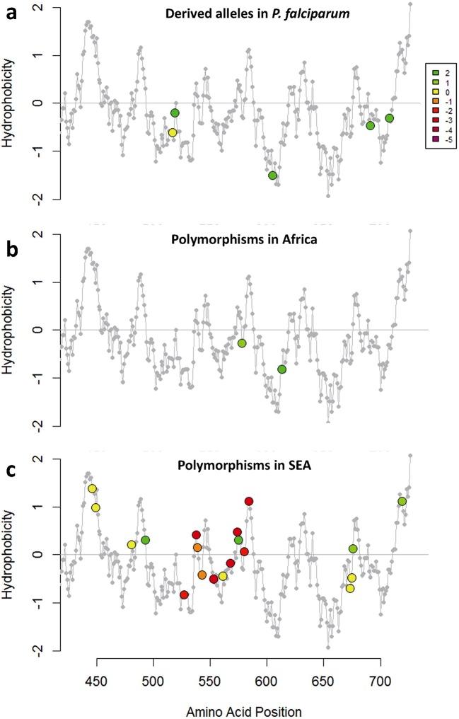 https://cdn.ncbi.nlm.nih.gov/pmc/blobs/09d3/4786412/6df4dc44d306/elife-08714-fig6-figsupp1.jpg