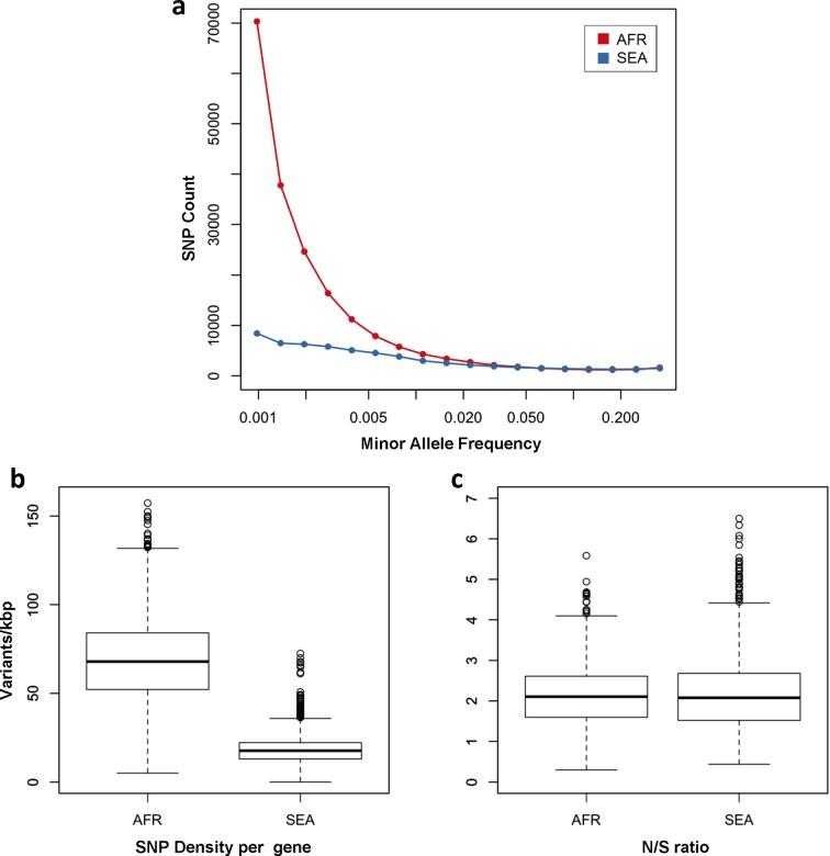 https://cdn.ncbi.nlm.nih.gov/pmc/blobs/09d3/4786412/70be5d027c8d/elife-08714-fig3.jpg