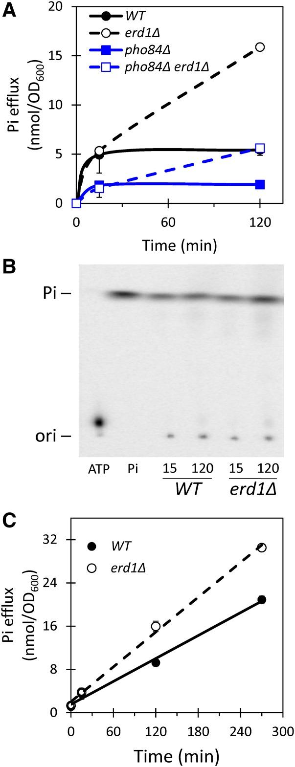 https://cdn.ncbi.nlm.nih.gov/pmc/blobs/09d3/5714488/e95f2c67854c/3913f6.jpg