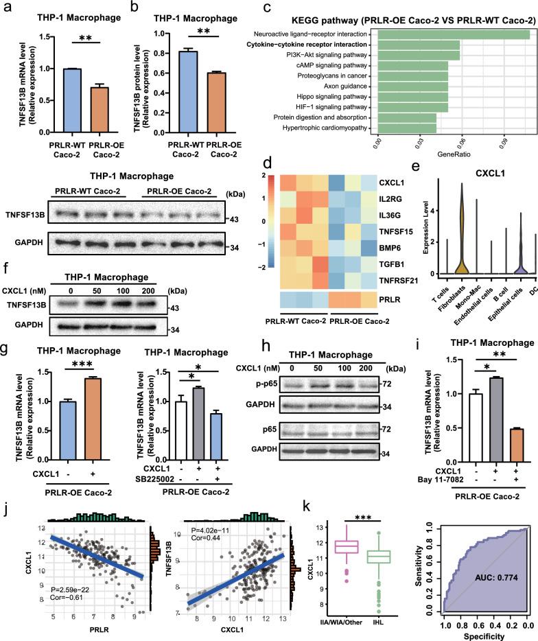 https://cdn.ncbi.nlm.nih.gov/pmc/blobs/09d5/10347743/3b64729b7ba9/12967_2023_4326_Fig7_HTML.jpg